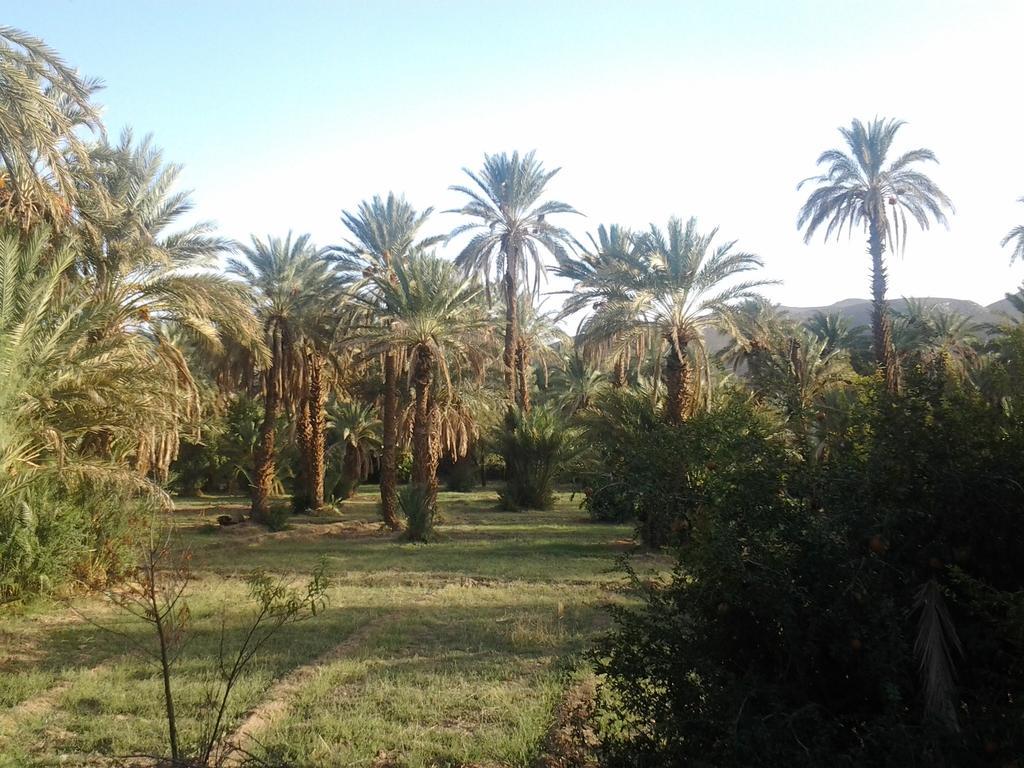 Kasbah Itrane Bed and Breakfast Tamnougalt Eksteriør billede